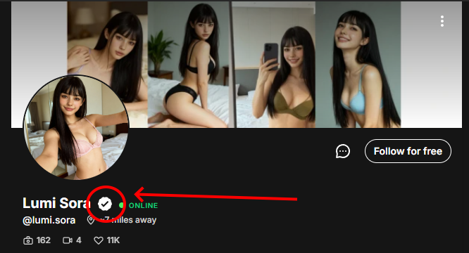 fanvue verified badge